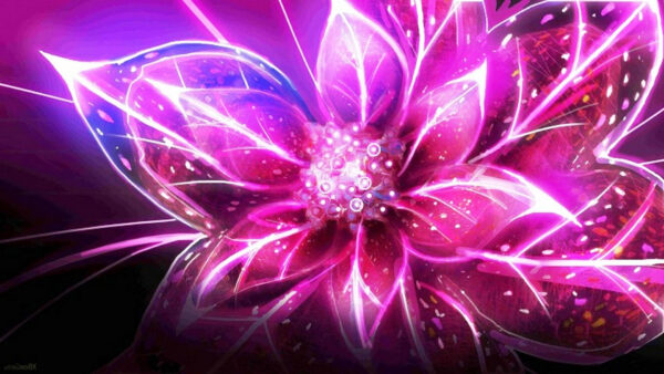 Wallpaper Abstraction, Art, Glare, Fractal, Flowers, Petal, Pink, Abstract