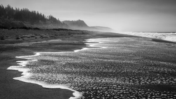 Wallpaper Ocean, Trees, Photo, And, Sand, Waves, White, Nature, Desktop, Coast, Mobile, Black