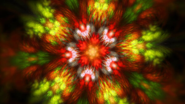 Wallpaper Flower, Shape, Red, Pattern, White, Fractal, Abstract, Green