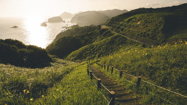 Wallpaper With, Grass, Stairs, Fence, Trees, Field, Mountain, Ocean, Nature, Between, Green