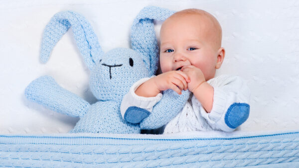 Wallpaper With, Blue, White, Cute, Down, Bed, Lying, Toy, Light, Stuffed, Baby, Child