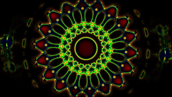 Wallpaper Circle, Colorful, Artistic, Fractal, Trippy, Flower