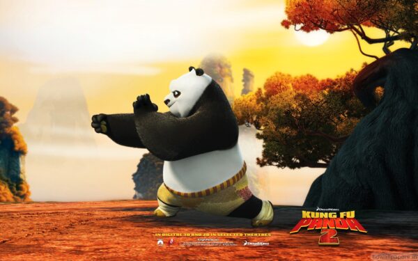Wallpaper Panda, Kung