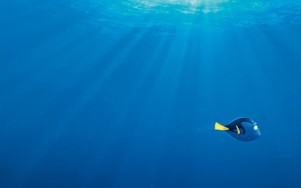 Wallpaper Finding, Dory, Movie