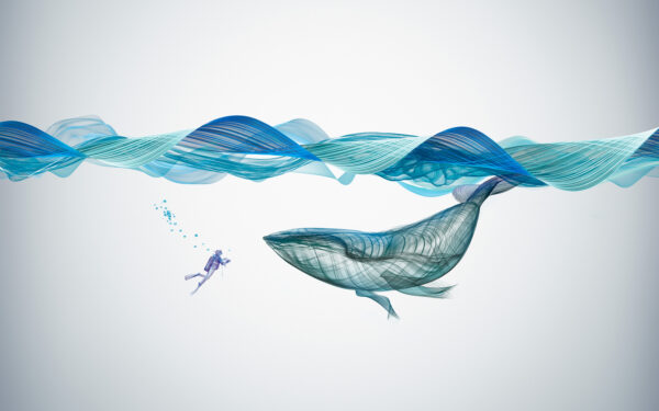 Wallpaper Whale, Illustration, Underwater