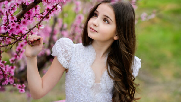 Wallpaper Cute, White, Pink, Near, Blossom, Little, Wearing, Desktop, Standing, Tree, Girl, Dress
