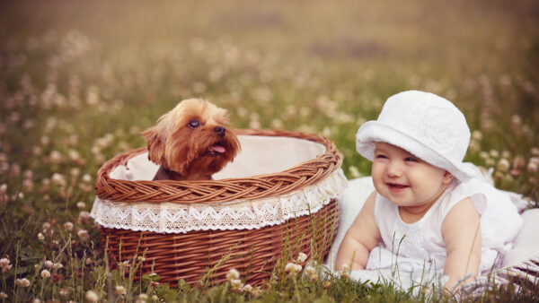 Wallpaper Cute, Girl, White, Dress, Hat, Background, Green, Basket, Baby, Bamboo, Smiley, Blur, Dog, Inside, Flowers, Brown, Wearing, Grass, Near, With, And