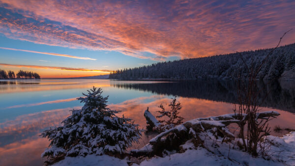 Wallpaper Desktop, Spruce, Lake, And, Winter, With, Forest, Sky, Sunset, During, Reflection, Snow, Mobile, Under