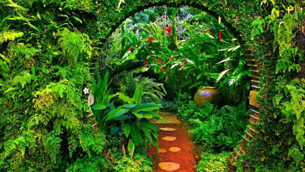 Wallpaper Plants, Pathway, Arch, Green, With, Garden, And, Desktop