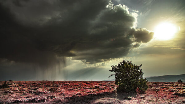 Wallpaper Sunbeam, Under, Green, Background, Trees, Nature, With, Cloud, Desktop, Dark, Mountain