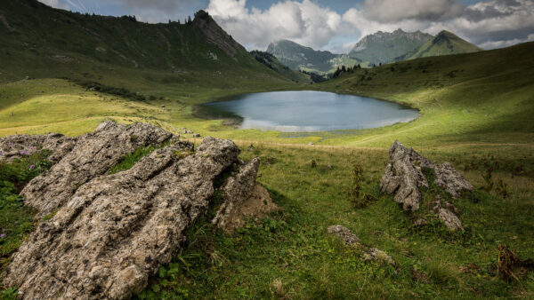 Wallpaper Sky, Surrounded, Blue, White, Trees, Under, Clouds, Grass, Mobile, Bushes, Rocks, Desktop, Green, Lake, Nature, Plants