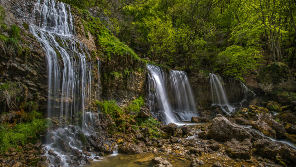 Wallpaper Forest, From, Desktop, Waterfalls, Stream, Nature, Rocks, Algae, Covered, Trees, Mobile, Green, Background