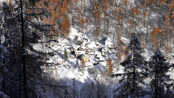 Wallpaper Forest, Lombardy, And, Italy, Snow, During, With, Village, Winter, Desktop