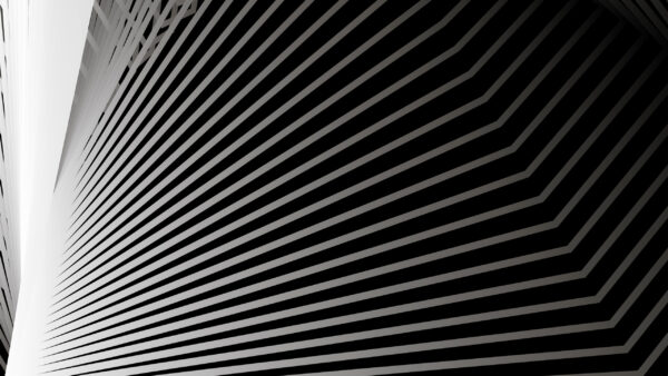 Wallpaper White, Black, Abstract, Lines