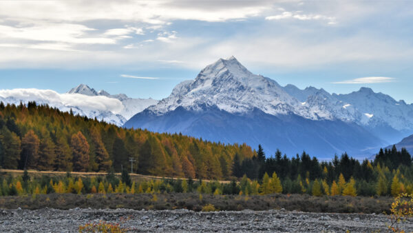 Wallpaper Trees, Colorful, Covered, Landscape, Mountain, Mobile, Autumn, Snow, Nature, View, Desktop