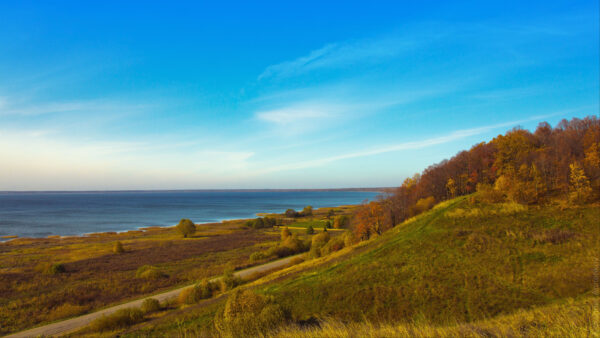 Wallpaper Green, Road, Plants, Between, Mobile, Blue, Bushes, Ocean, Desktop, Grass, Sky, Under, Nature, And