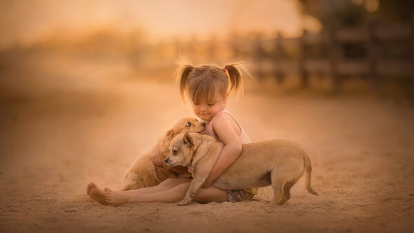 Wallpaper Girl, Desktop, Mobile, Background, With, Sitting, Puppies, Beach, Blur, Little, Sand, Cute, Wearing, Playing, Pink, Dress