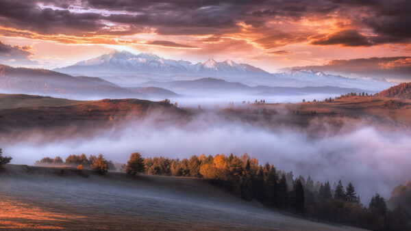 Wallpaper Blue, White, Trees, Mountains, Capped, Sky, Landscape, With, Clouds, Autumn, Black, View, Under, Fog, Snow