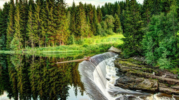 Wallpaper Stream, Nature, Water, Grass, Trees, Field, Reflection, Green, Waterfall