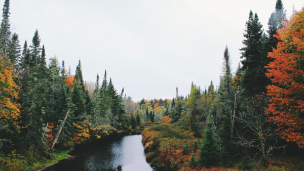 Wallpaper Sky, River, Autumn, Orange, Green, Yellow, Blue, Trees, Between, Under