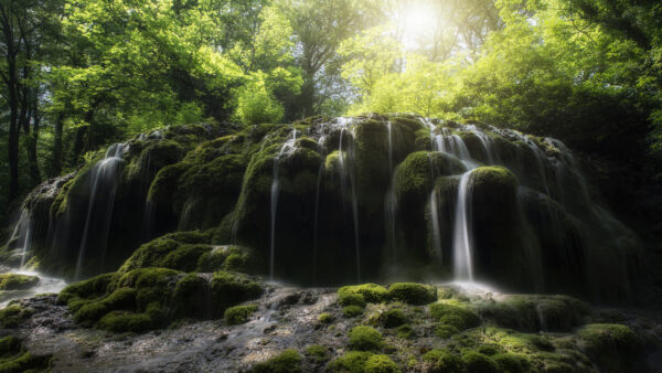 Wallpaper Sunlight, Desktop, Passing, Nature, Leaves, Rocks, Waterfall, Green, Under, Through, Covered