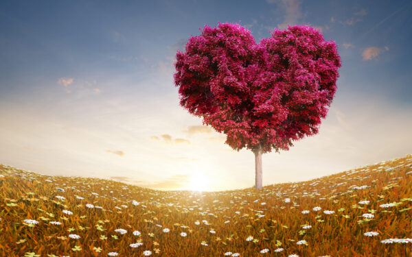Wallpaper Fields, Love, Heart, Tree
