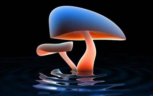 Wallpaper Abstract, Download, Mushroom, Desktop, Free, Cool, Background, Wallpaper, Images, Pc, Lake