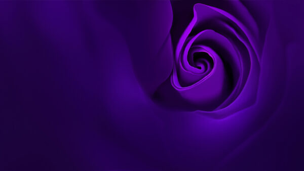 Wallpaper R15, Oppo, Rose, Stock, Violet