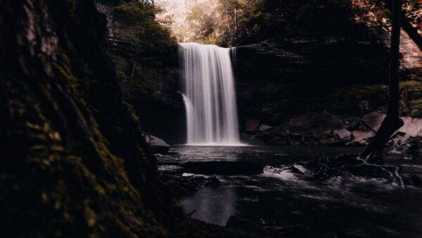 Wallpaper Waterfall, Forest