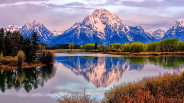 Wallpaper Snow, Mountains, Covered, Trees, River, And, Nature, View, Landscape, Forest, Beautiful, Between, Green, Desktop