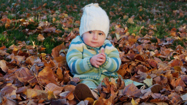 Wallpaper Cap, Little, Wearing, And, Woolen, Leaves, Sitting, Dry, Baby, Sweater, Cute, Knitted, Colorful, Desktop, Boy