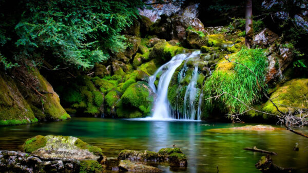 Wallpaper Covered, Scenery, Beautiful, Waterfalls, Nature, Forest, Algae, Green, Rocks, Background