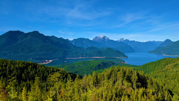 Wallpaper Covered, And, Forest, Nature, Under, Landscape, Mountains, Sky, Trees, Blue, View