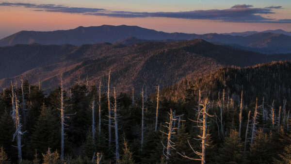 Wallpaper Desktop, During, Mountain, Mobile, Aerial, With, View, Sunset, Nature, Trees