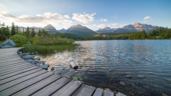 Wallpaper Mountains, View, Body, Forest, Near, Dock, Water, Landscape, Wood, Nature, Scenery, Trees