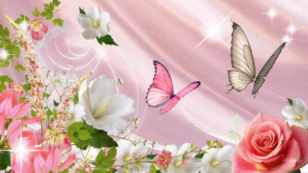 Wallpaper Pink, Butterflies, White, With, Flowers, Butterfly
