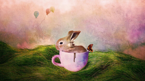 Wallpaper Cute, Butterfly, Rabbit, Grass, Green, Colorful, Inside, Background, Beside, Desktop, Cup, Animals