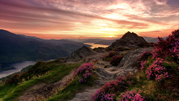 Wallpaper And, Under, Flowers, Nature, Mountains, Yellow, Sky, Landscape, Desktop, View, During, Purple, Black, Clouds, River, Sunrise, Mobile