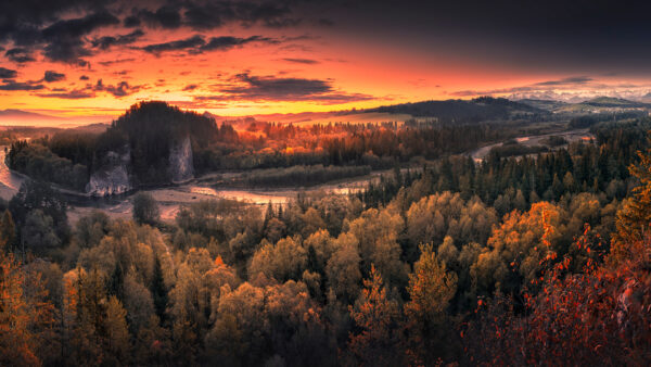 Wallpaper Yellow, Sunset, Forest, Green, Autumn, Trees, Mountains, Scenery, Nature, During, River