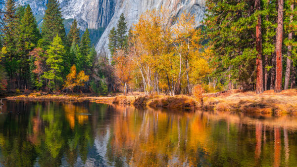 Wallpaper Background, Desktop, Mobile, Autumn, Reflection, Green, Lake, Mountain, Yellow, Trees, Fall