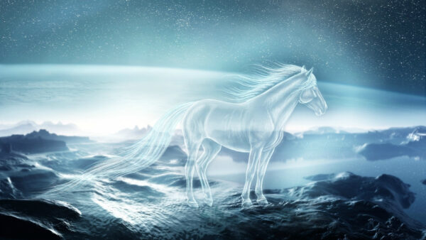 Wallpaper Horse, Background, With, And, Artistic, Sky, Desktop, Stars, Picture