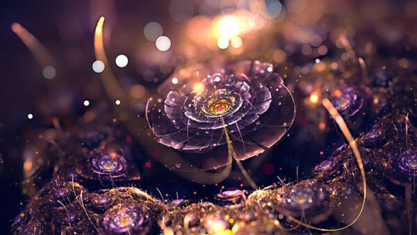 Wallpaper Lights, Purple, Light, Bokeh, Fractal, Flower, Abstract, Glare, Abstraction