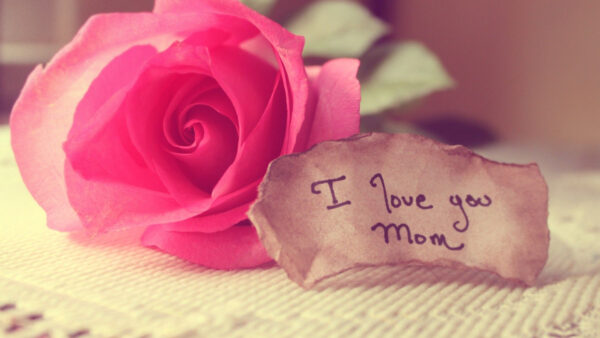 Wallpaper Dad, And, Small, You, Love, Rose, Words, Paper, MOM