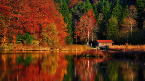 Wallpaper Nice, Beautiful, Daytime, Yellow, Nature, Lake, Green, Red, Trees, Forest, Reflection, House, Autumn, During, View, Landscape