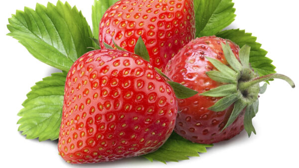 Wallpaper Strawberry, White, Background, Strawberries