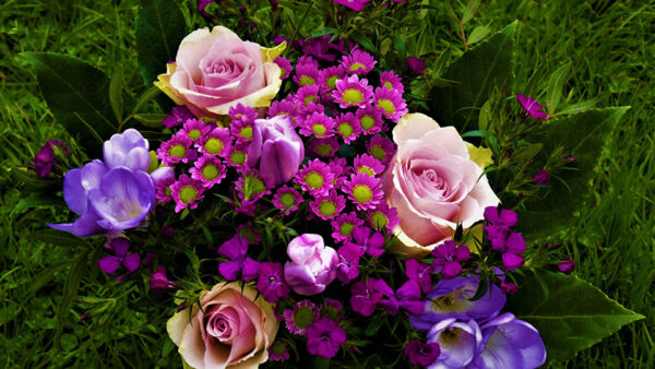 Wallpaper Colorful, Roses, Grass, Green, Flowers, Leaves, Crocuses, Tulips