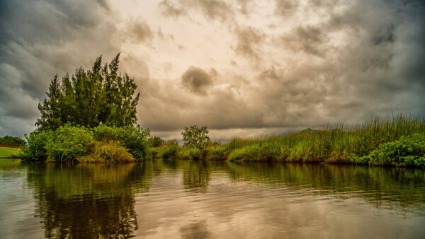Wallpaper Bushes, Green, Under, Clouds, Grass, Trees, Reflection, River, White, Sky, Nature