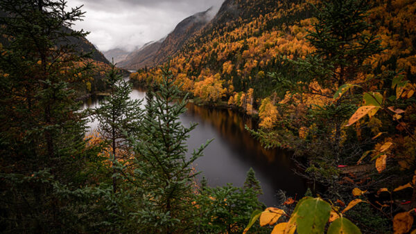 Wallpaper River, Between, Yellow, Fog, With, Mountain, Trees, Autumn, Green, Slope