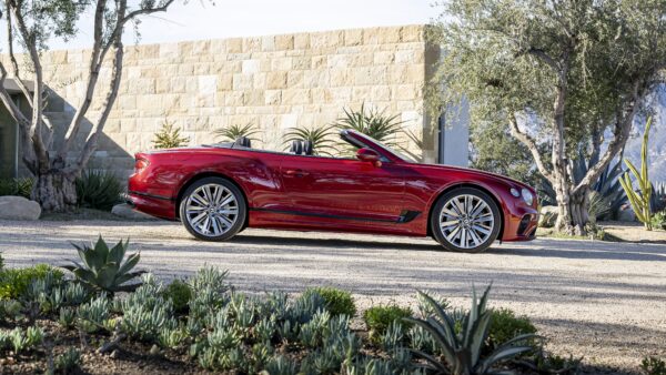 Wallpaper Convertible, Continental, 2022, Speed, Bentley, Cars