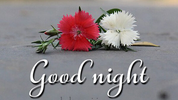 Wallpaper Red, Word, White, Night, Good, Flowers